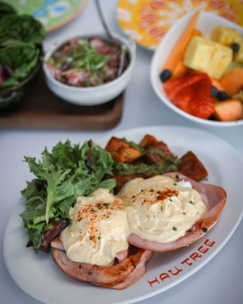 hateii hawiia hawaii. hawaiii hawiaii hwaii hawaai hawall hawii hawwai hawwaii hawwii hiwaii haiwaii hawia hawwi Hau tree brunch