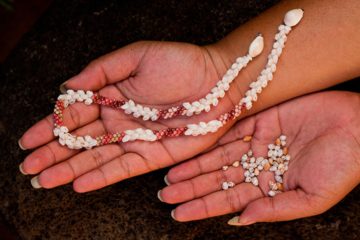 Niihau Shells