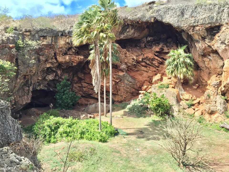 grassy area near cave