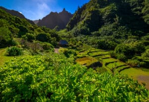 Limahuli Garden on the island of Kauai hateii hawiia hawaii. hawaiii hawiaii hwaii hawaai hawall hawii hawwai hawwaii hawwii hiwaii haiwaii hawia hawwi 1935864370