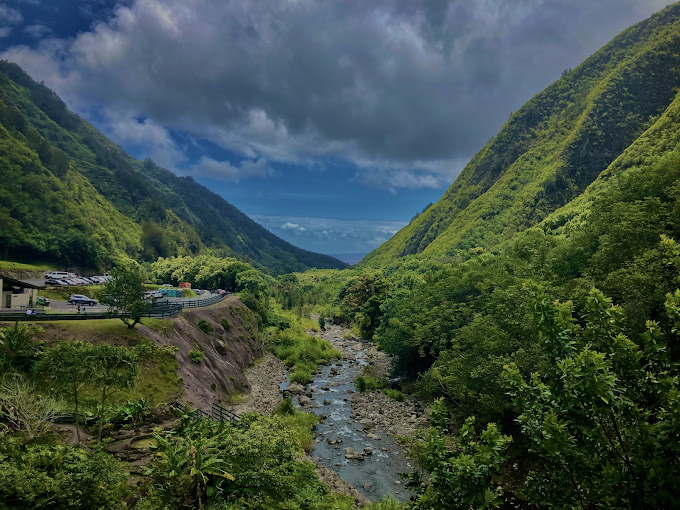 Green valley with stream
