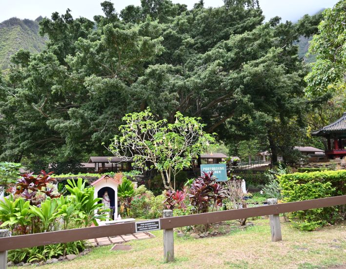 Collection of items outdoors