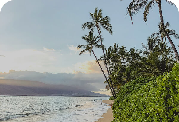maui
