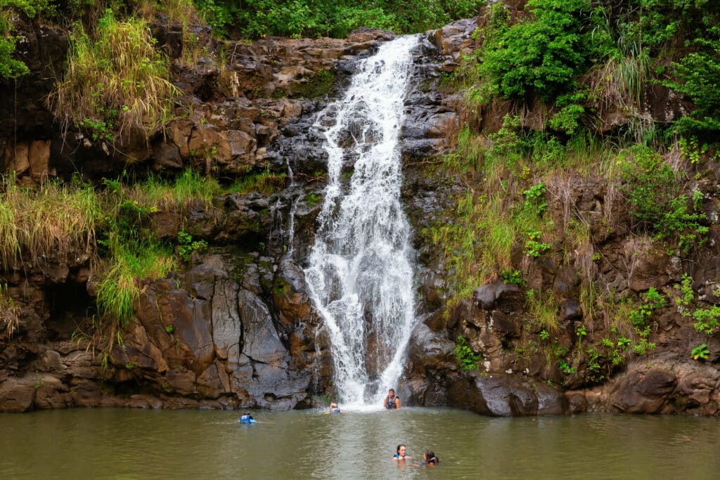 waterfall in the botanical garden of Waimea Valley1670985991 hateii hawiia hawaii. hawaiii hawiaii hwaii hawaai hawall hawii hawwai hawwaii hawwii hiwaii haiwaii hawia hawwi