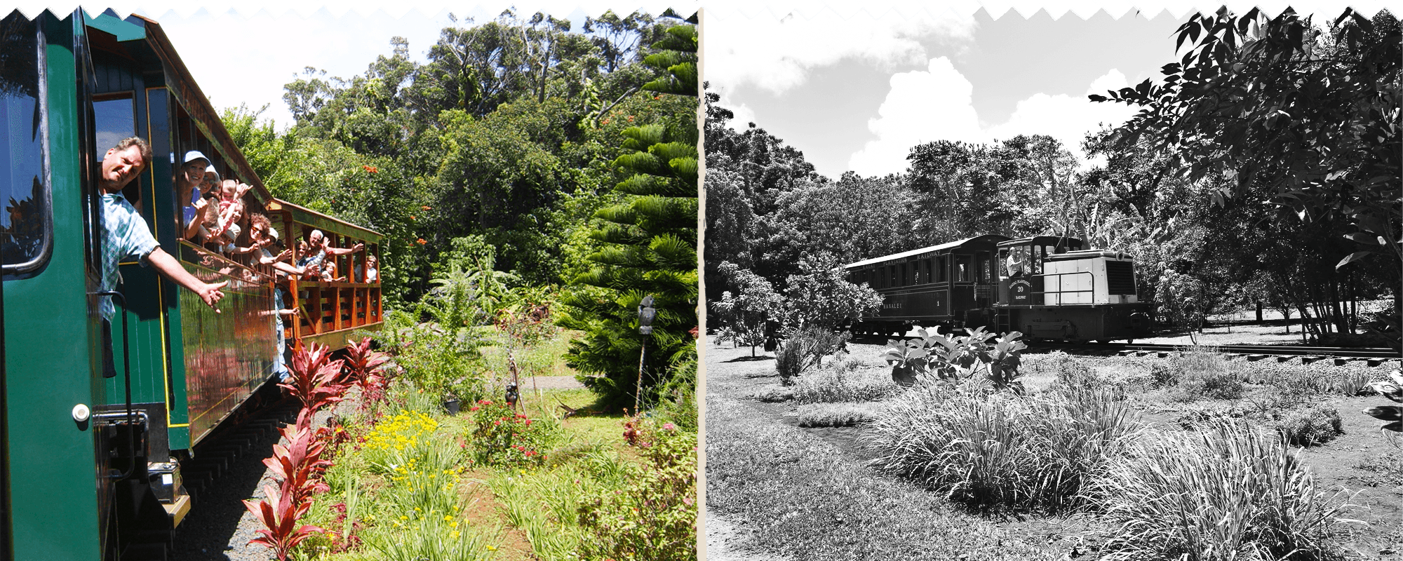 People on a tourist train